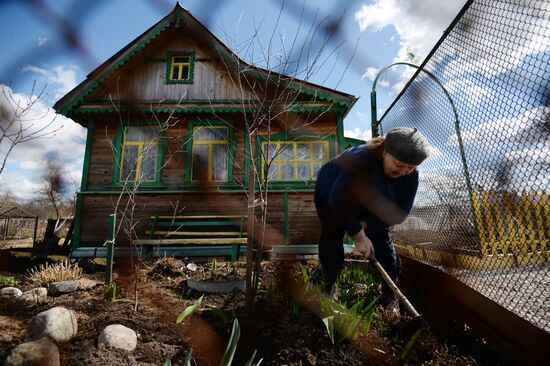 Dacha season kicks off in Novgorod Region