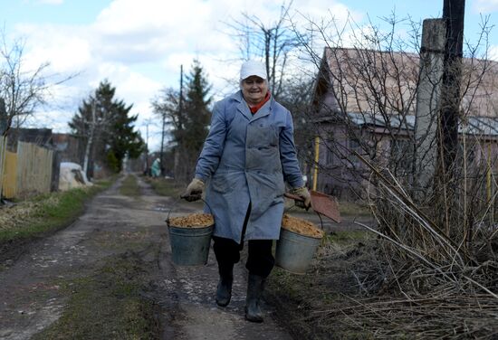 Dacha season kicks off in Novgorod Region