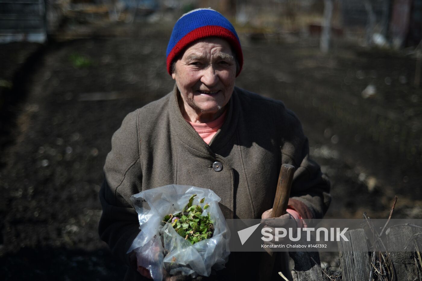 Dacha season kicks off in Novgorod Region