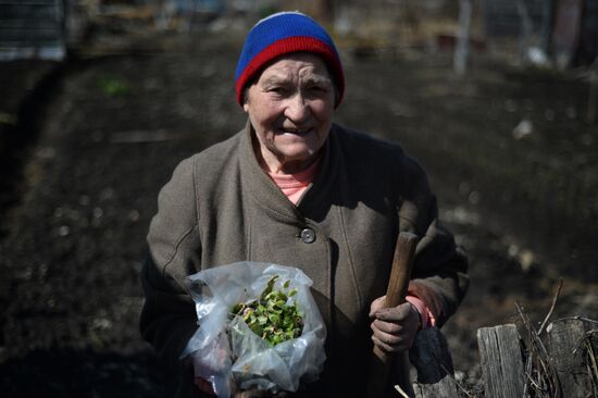 Dacha season kicks off in Novgorod Region