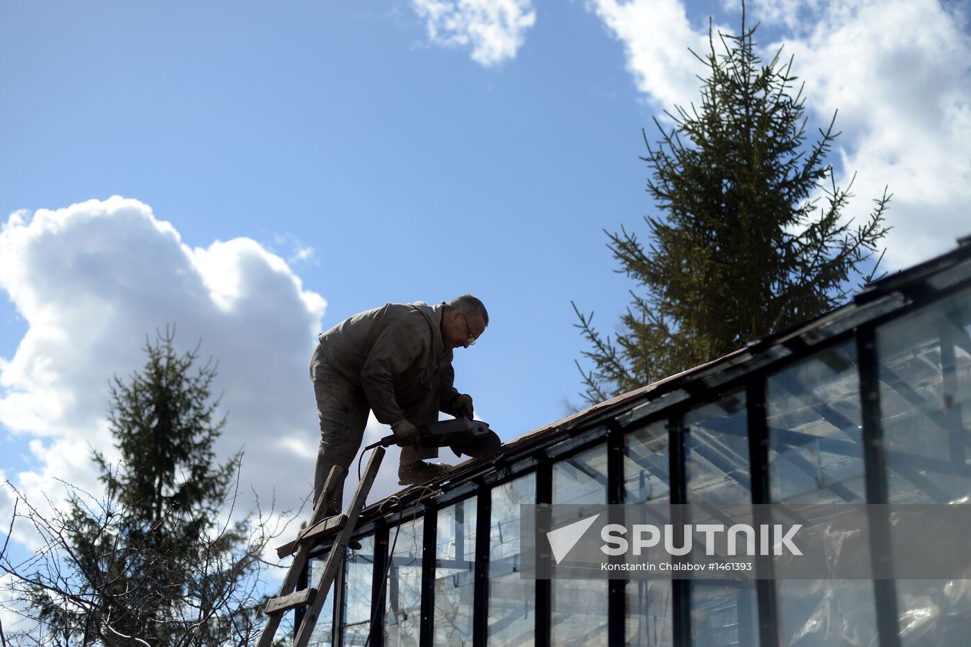 Dacha season kicks off in Novgorod Region
