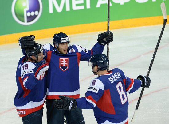 2013 IIHF World Championship. France vs Slovakia