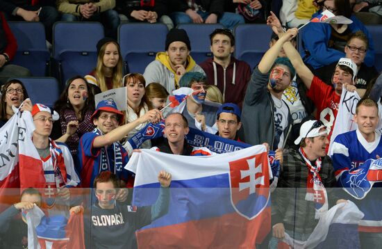 2013 IIHF World Championship. France vs Slovakia