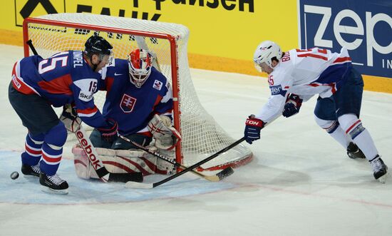 2013 IIHF World Championship. France vs Slovakia