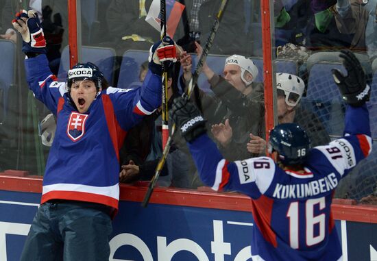 2013 IIHF World Championship. France vs Slovakia