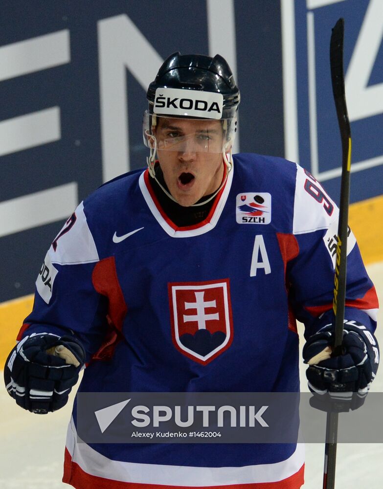 2013 IIHF World Championship. France vs Slovakia