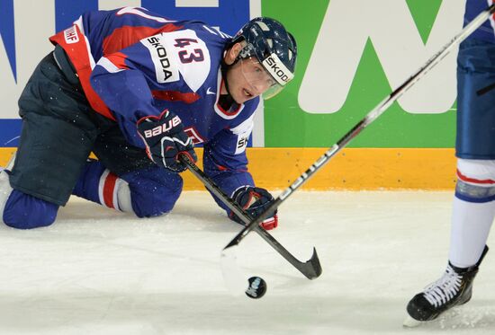 2013 IIHF World Championship. France vs Slovakia
