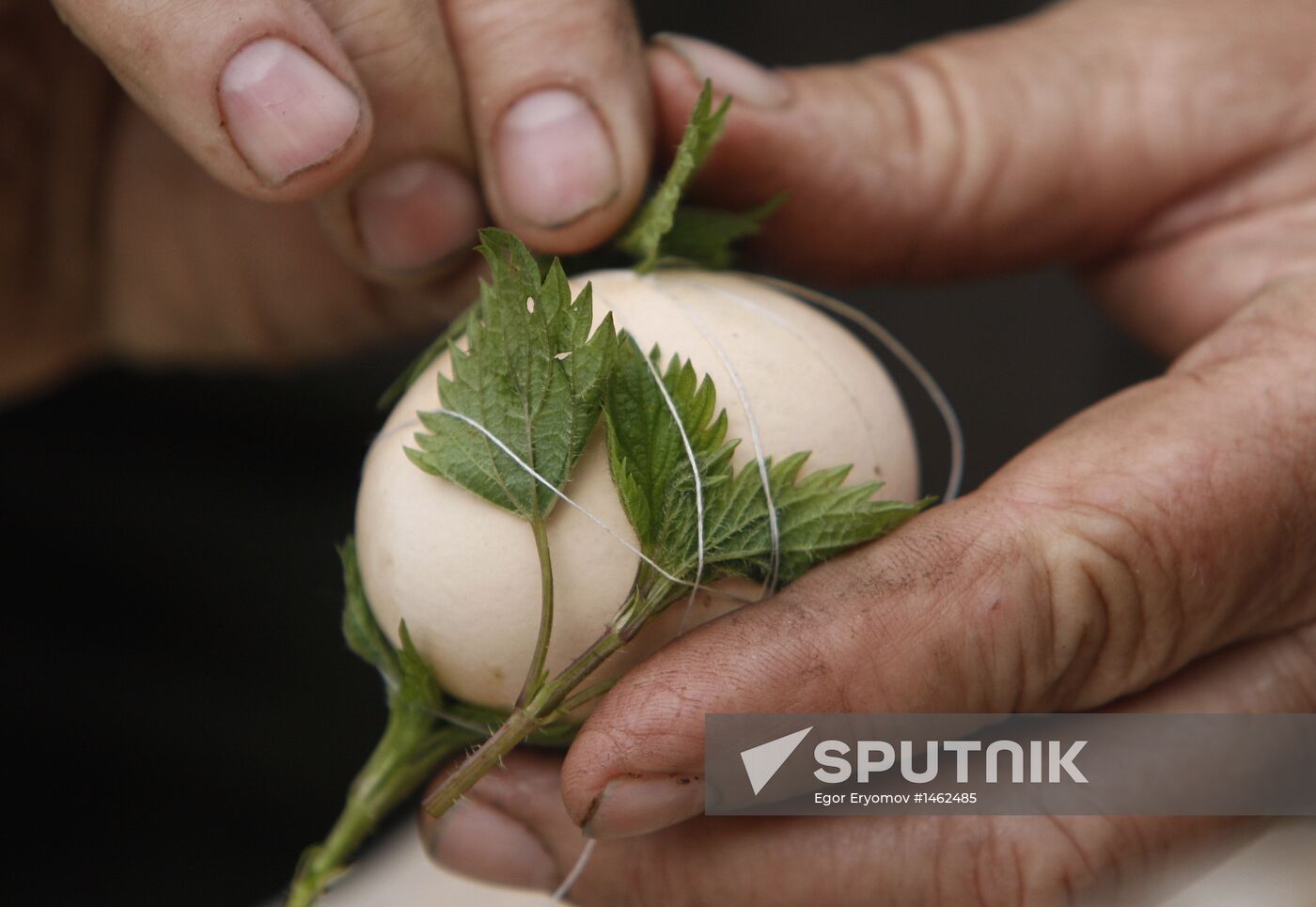 Getting ready for Easter festivities