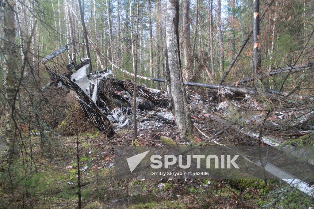 Wreckages of missing An-2 plane found in Sverdlovsk Region