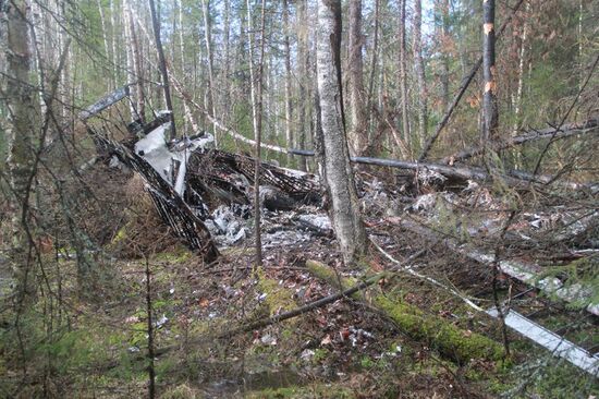 Wreckages of missing An-2 plane found in Sverdlovsk Region