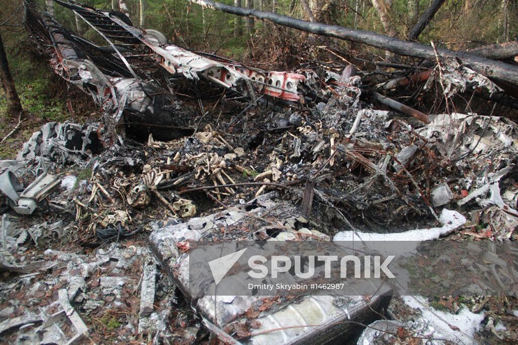 Wreckages of missing An-2 plane found in Sverdlovsk Region