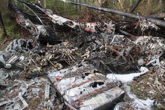Wreckages of missing An-2 plane found in Sverdlovsk Region