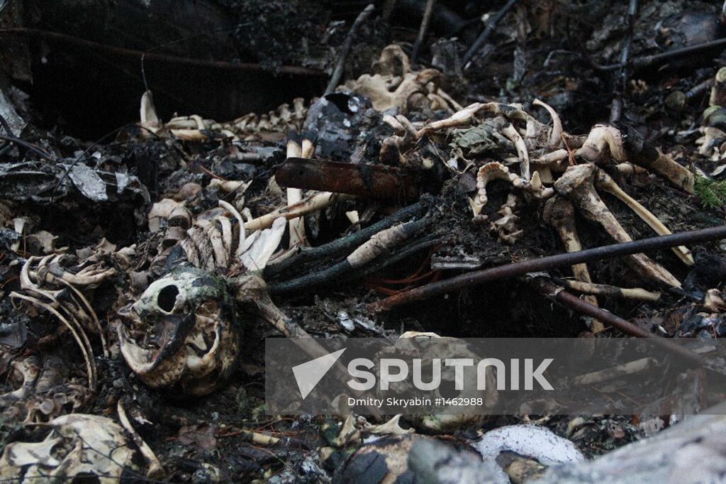 Wreckages of missing An-2 plane found in Sverdlovsk Region