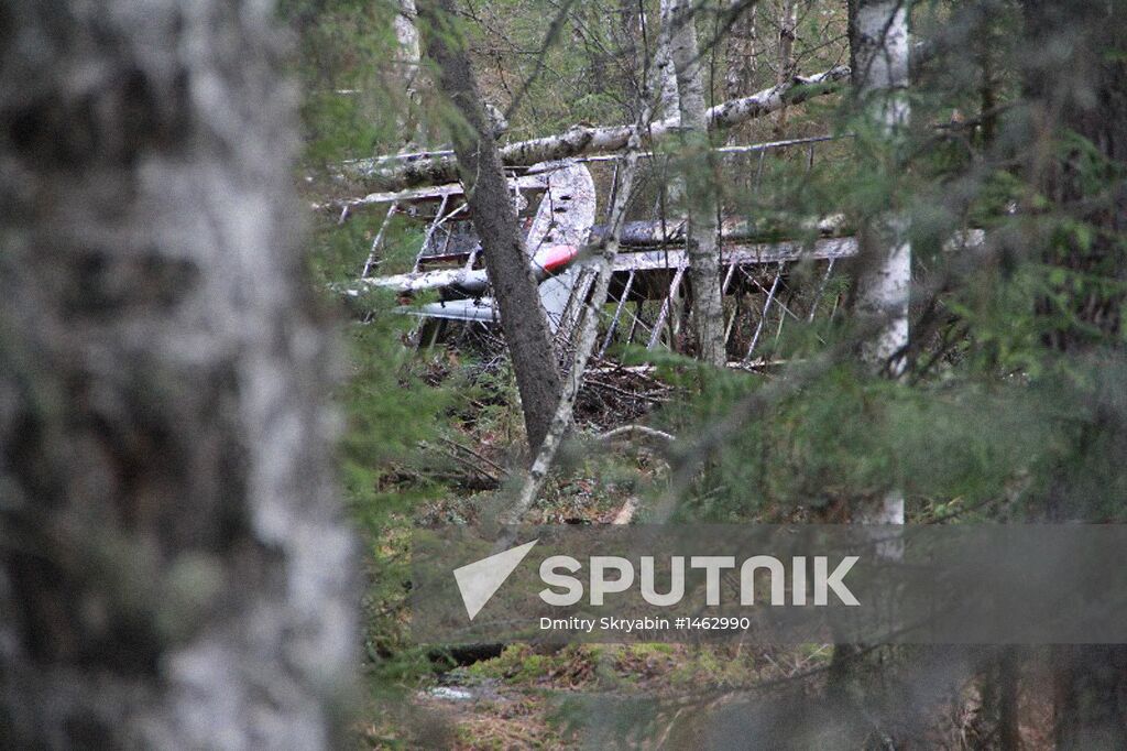 Wreckages of missing An-2 plane found in Sverdlovsk Region