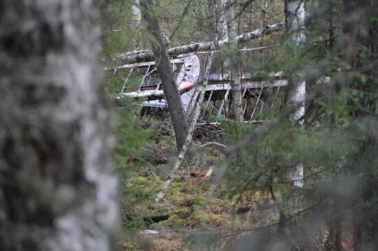 Wreckages of missing An-2 plane found in Sverdlovsk Region