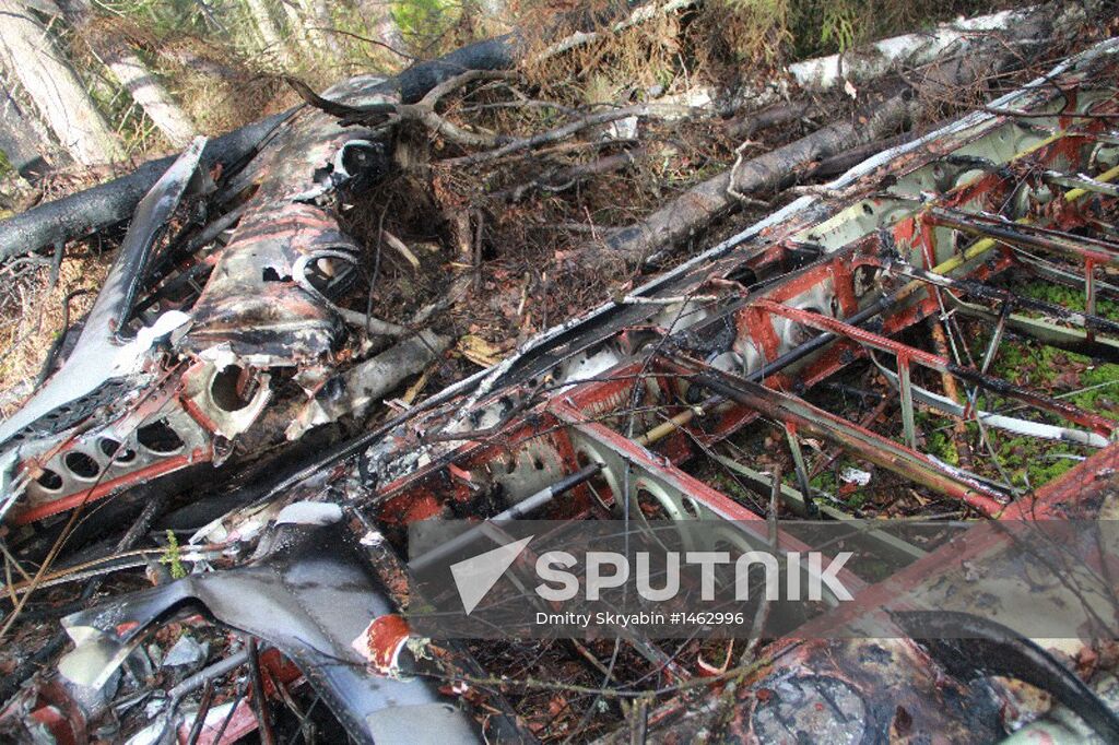 Wreckages of missing An-2 plane found in Sverdlovsk Region