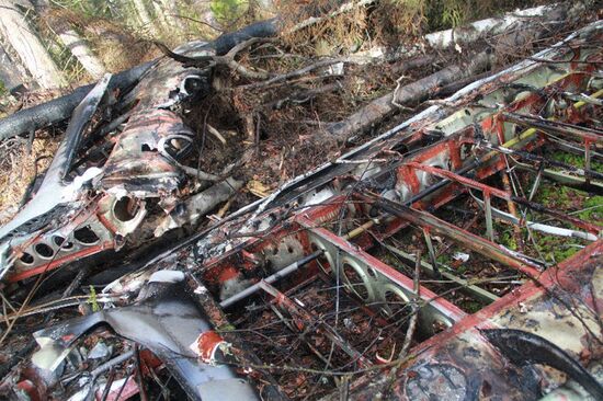 Wreckages of missing An-2 plane found in Sverdlovsk Region
