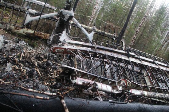 Wreckages of missing An-2 plane found in Sverdlovsk Region