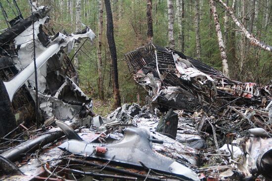 Wreckages of missing An-2 plane found in Sverdlovsk Region