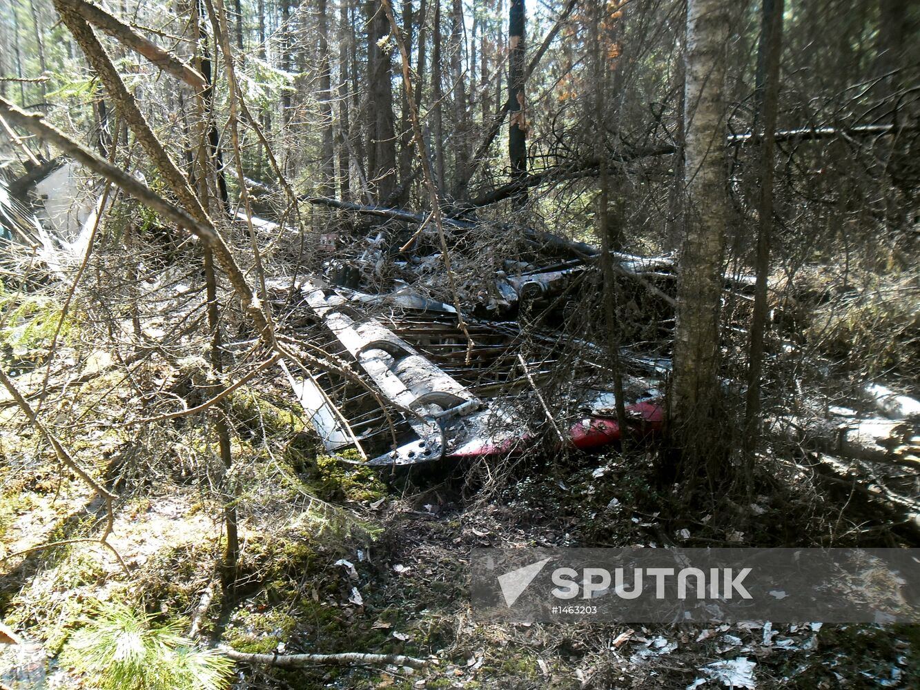 Wreckages of missing An-2 plane found in Sverdlovsk Region