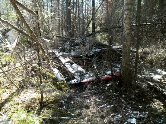Wreckages of missing An-2 plane found in Sverdlovsk Region