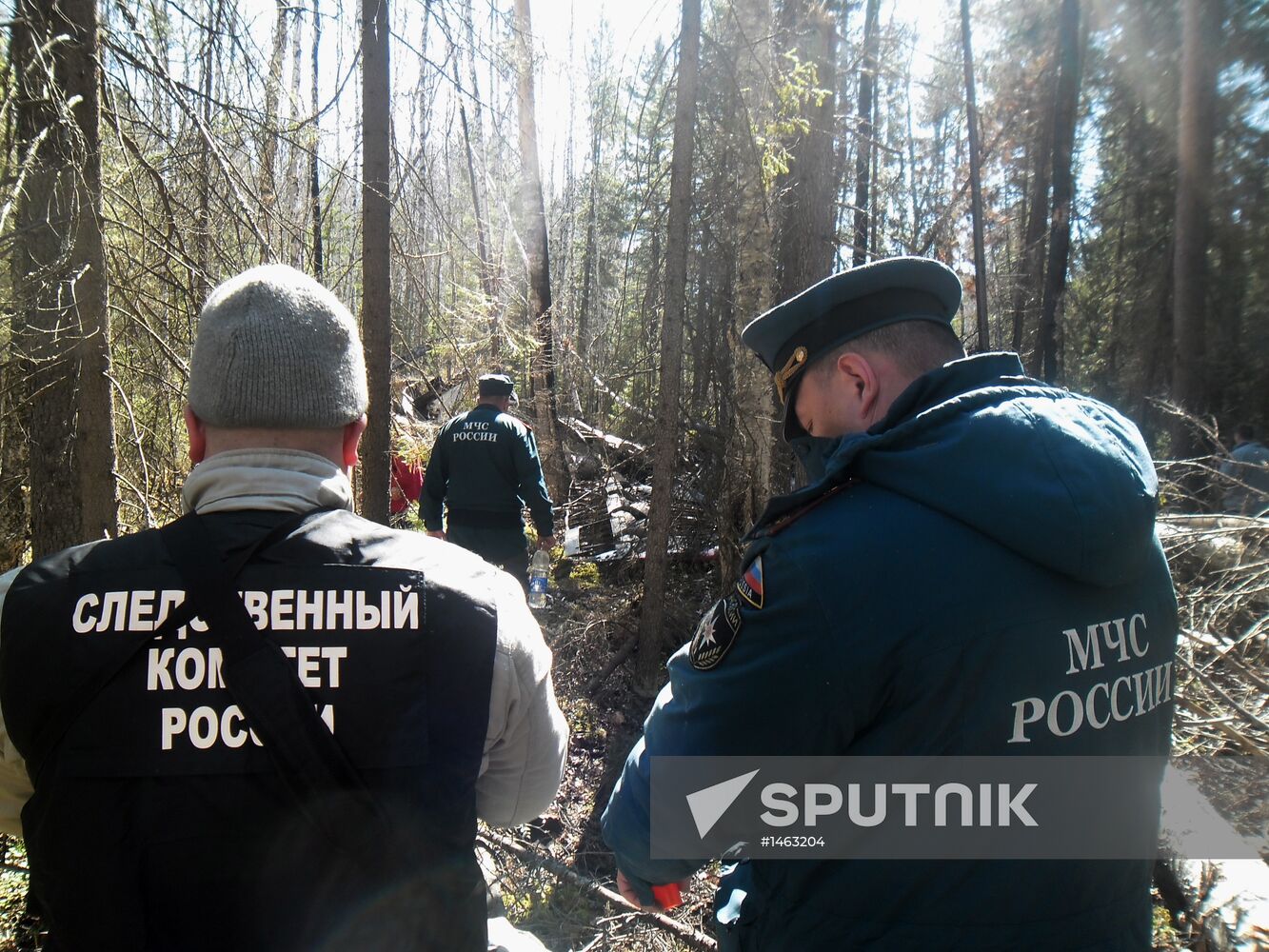 Wreckages of missing An-2 plane found in Sverdlovsk Region