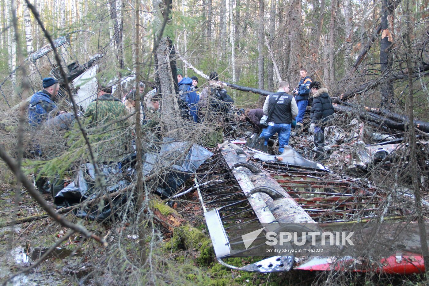 Wreckages of missing An-2 plane found in Sverdlovsk Region
