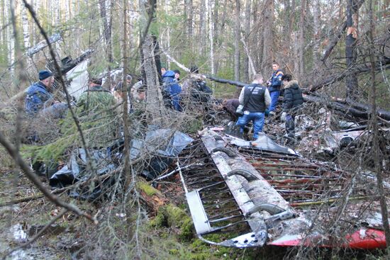 Wreckages of missing An-2 plane found in Sverdlovsk Region