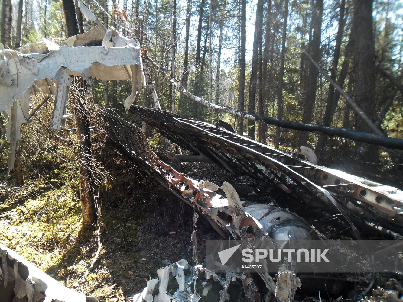 Wreckages of missing An-2 plane found in Sverdlovsk Region