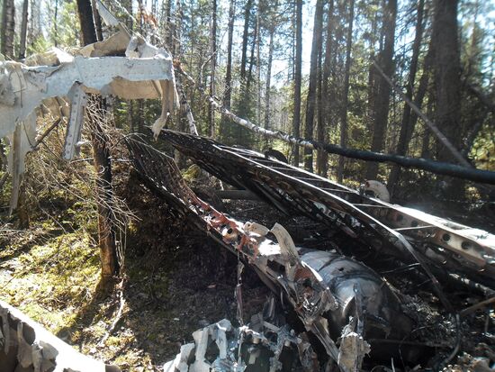 Wreckages of missing An-2 plane found in Sverdlovsk Region