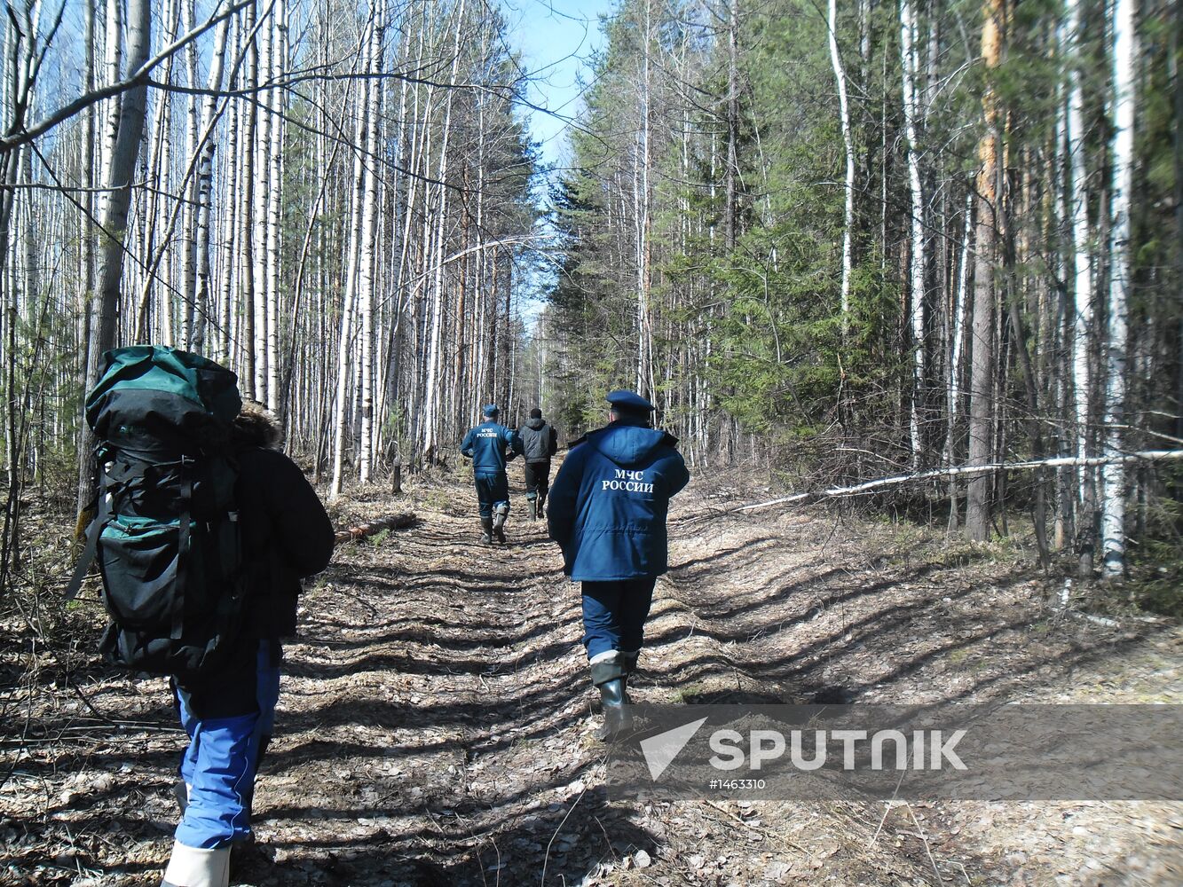 Wreckages of missing An-2 plane found in Sverdlovsk Region