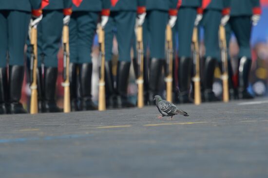 Victory Parade general rehearsal held on Red Square