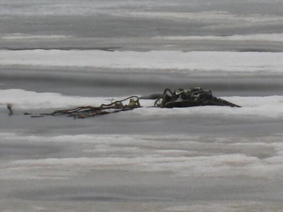 Mi-8 helicopter crashed in Irkutsk oblast