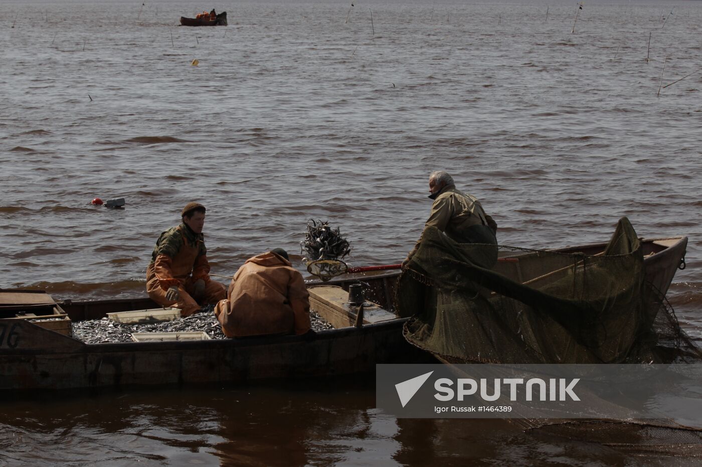 Smelt fishing on the Volkhov river
