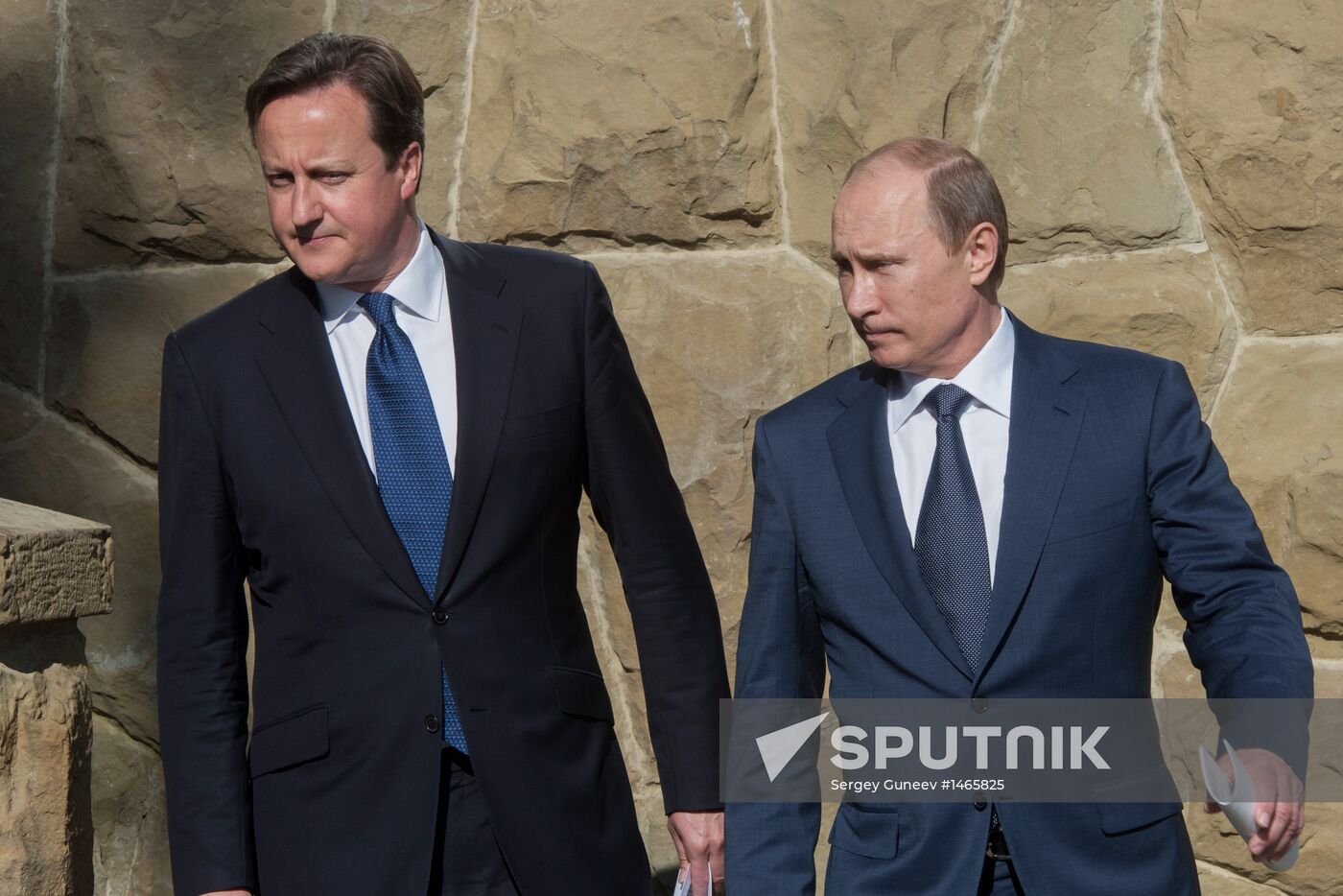 Vladimir Putin meets with David Cameron in Sochi