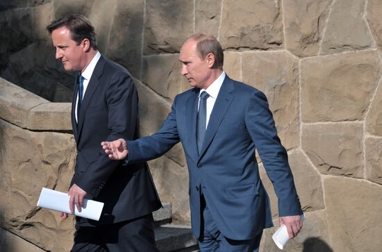Vladimir Putin meets with David Cameron in Sochi