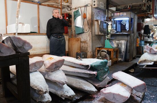Tsukiji seafood market in Tokyo