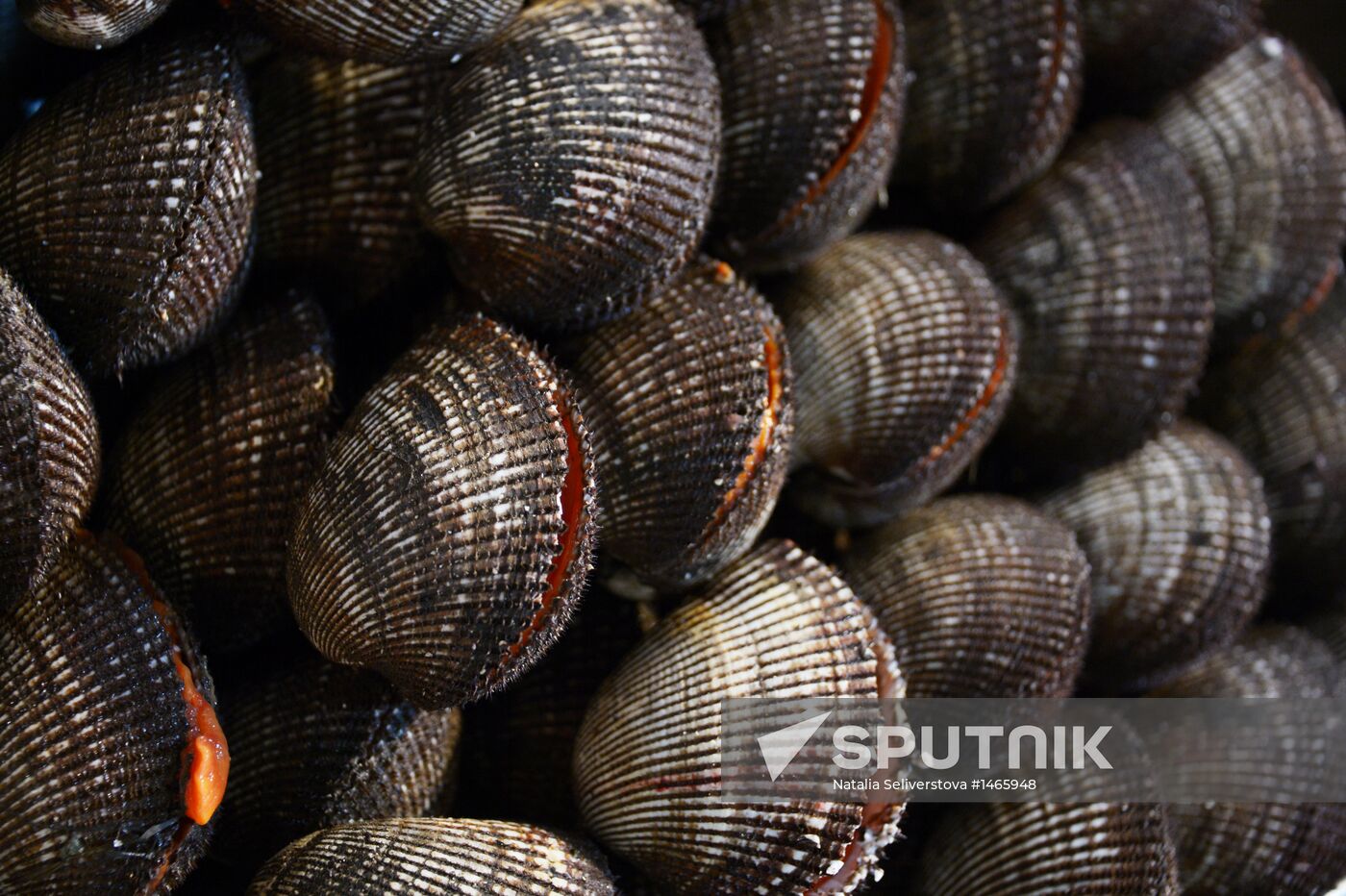 Tsukiji seafood market in Tokyo