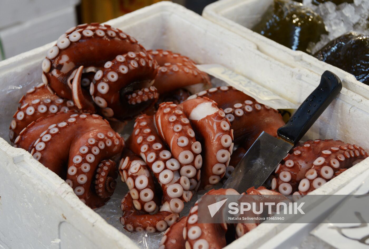 Tsukiji seafood market in Tokyo