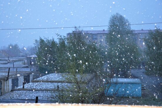 Snowfall instaed of heat in Tyva