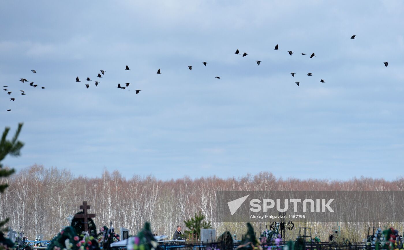 Visiting cemetery on Radonitsa Day