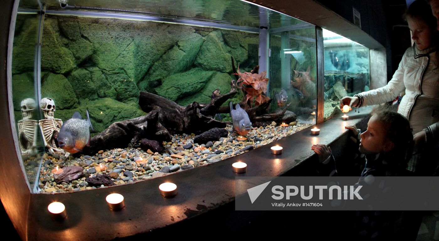 Night at the Museum events