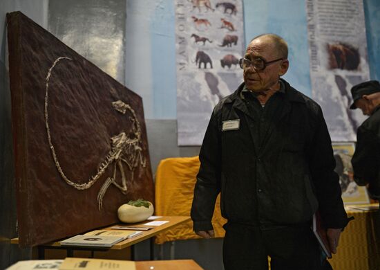 Night at the Museum events