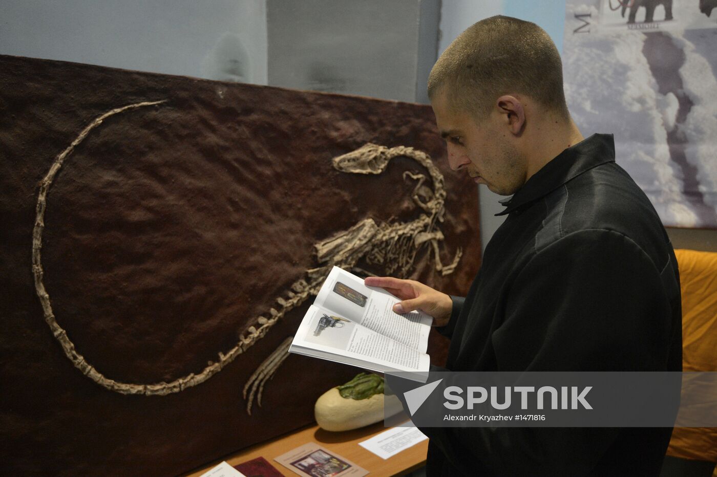 Night at the Museum events
