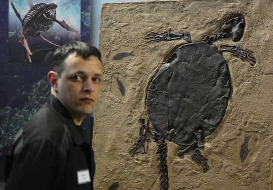 Night at the Museum events