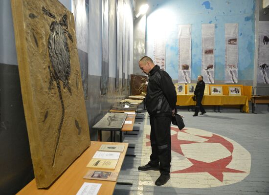 Night at the Museum events