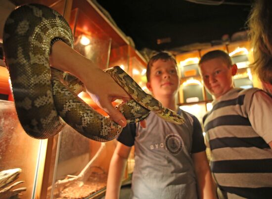 Night at the Museum events