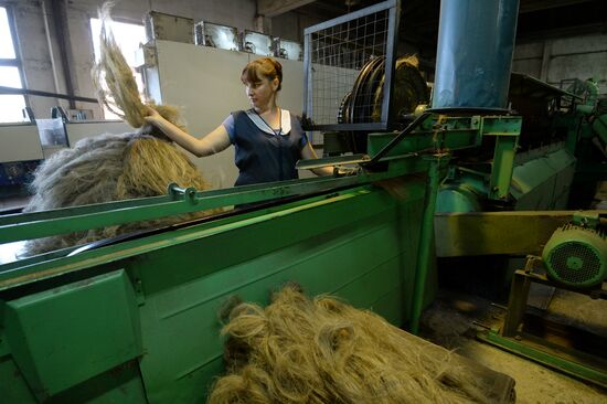 Flax production in Kostroma region