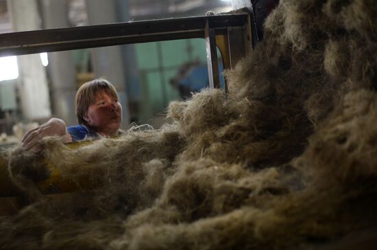 Flax production in Kostroma region