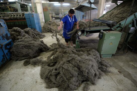 Flax production in Kostroma region